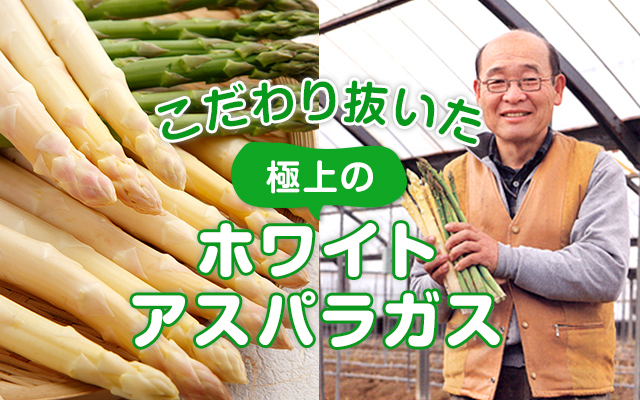 こだわり抜いた極上のホワイトアスパラガス