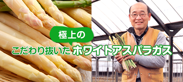 こだわり抜いた極上のホワイトアスパラガス